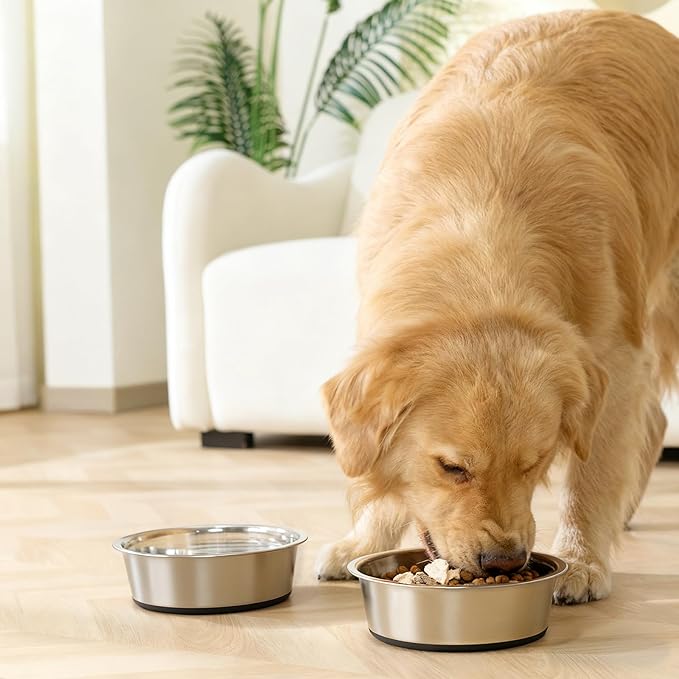 Dog Bowls Durable Heavy Duty Stainless Steel Dog Bowls Non-Slip Basic Bowl for Dogs with Rubber Base (2 Pack, 7 Cups)