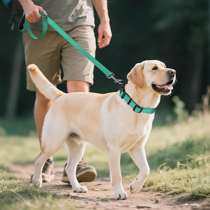 Joytale Reflective Dog Collar, Soft Neoprene Padded, Metal D-Ring, Nylon Pet Collar Adjustable for Extra Large Dogs, Teal, XL