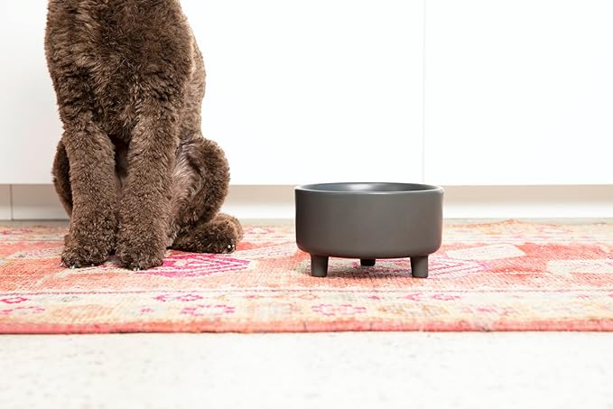 Waggo Uplift Ceramic Dog Bowl for Small Medium and Large Breeds - Heavyweight and Durable Pet Food and Water Dish Crock, Dishwasher Safe, Modern, Elevated Feeder (Medium, White)