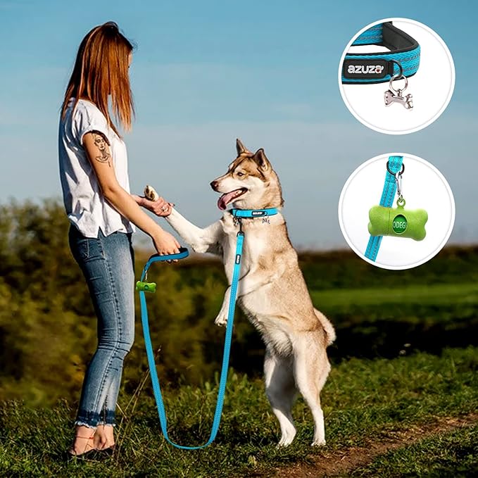 azuza Reflective Dog Collar, Soft Neoprene Padded Pet Collar with ID Tag Ring, Adjustable for Small Dogs,Vitality Blue,L