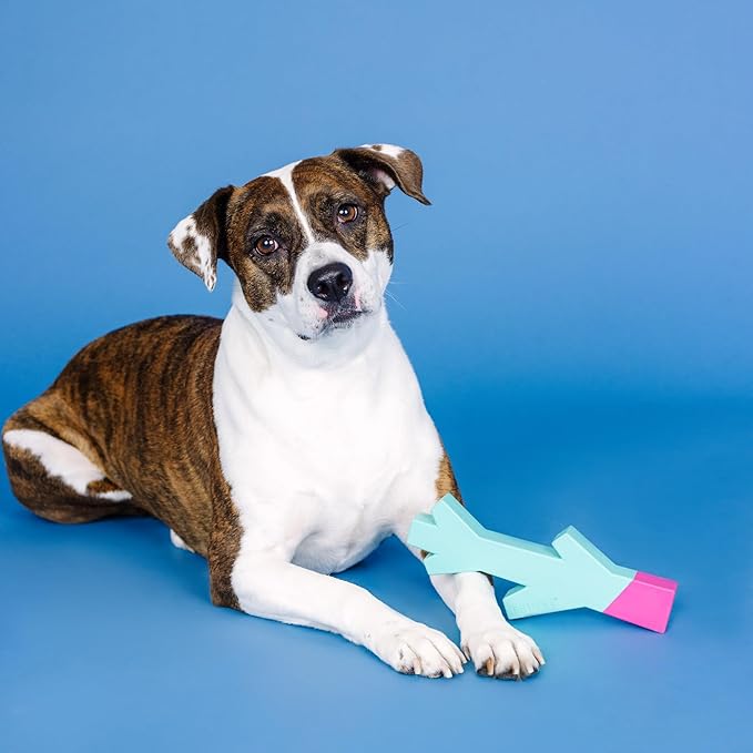 Fringe Studio Stick with ME Turquoise/HOT Pink Rubber Dog Toy, Pet Shop Collection (518035)