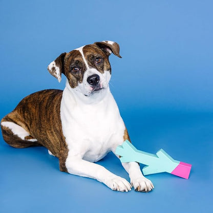 Fringe Studio Stick with ME Turquoise/HOT Pink Rubber Dog Toy, Pet Shop Collection (518035)