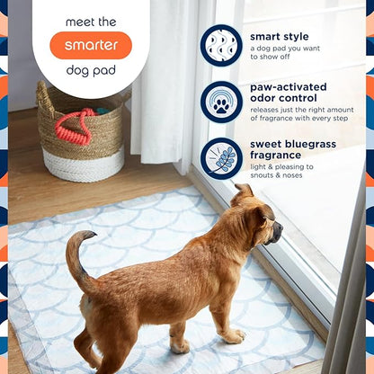 Pet Life Unlimited Smart Prints XXL Puppy Pads for Dogs, Potty Training Pee Pads, 60 Count, 30" x 36", Leak-Proof, Super Absorbent, Quick-Dry, Patterned Pads with Odor Control, Made in USA