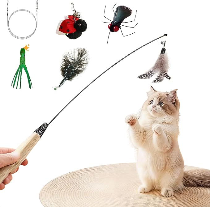 Trumoon Professional Cat Teaser Wand Toy Set, Interactive Toys for Indoor Cats, Soft Feather Toy with Wooden Handle, Spring Design for Exercise & Hunting Instinct