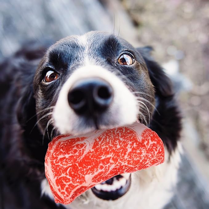 balacoo Realistic Steak Dog Chew Toy with Squeaky Sound Soft Oxford Cloth Interactive Pet Toy for Teeth Grinding and Chewing 7 Inch Durable Puppy Plaything