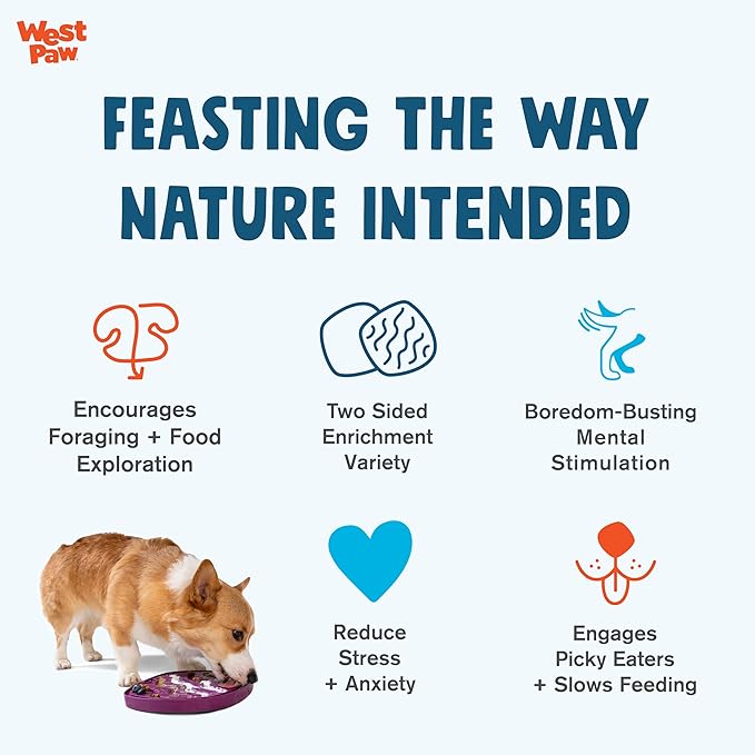 West Paw Seaflex Bubbles Feast Mat – All-in-One, Slow Feeder, Lick Mat – Encourages Foraging & Food Exploration - Engages Picky Eaters & Slow Feeding - Versatile – Easy to Clean, Non-Toxic - Mint