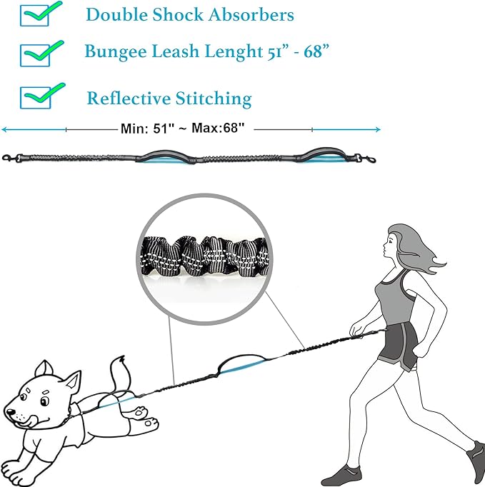 Hands Free Dog Leash for Running, Walking, Hiking, Durable Dual-Handle Bungee Leash with Reflective Stitching and an Adjustable Waist Belt, for Up to 150 lbs Large Dogs (Medium/Large, Black)
