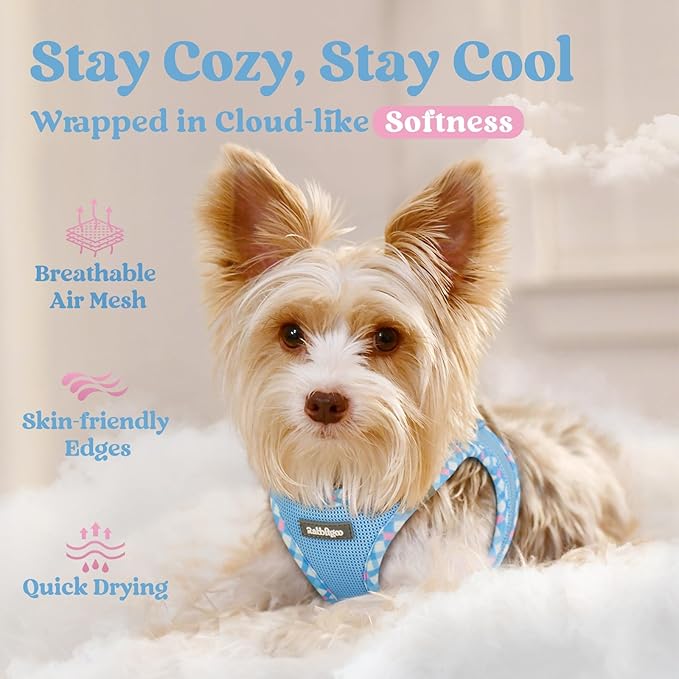 rabbitgoo Small Dog Harness, Step-in Soft Mesh Puppy Vest with Safety Buckle, Breathable Reflective Pet Harness for Small Sized Dogs, Blue & Plaid Trim S