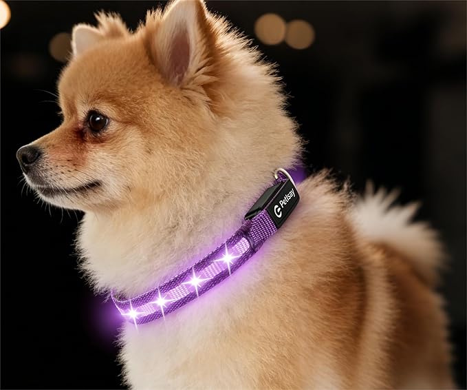 LED Dog Collar for Small Dogs & Toy Breeds – USB-C Rechargeable Light Up Dog Collar, Fully Waterproof Adjustable Glow Collar for Night Walking & Safety(Purple,S)