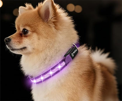 LED Dog Collar for Small Dogs & Toy Breeds – USB-C Rechargeable Light Up Dog Collar, Fully Waterproof Adjustable Glow Collar for Night Walking & Safety(Purple,S)
