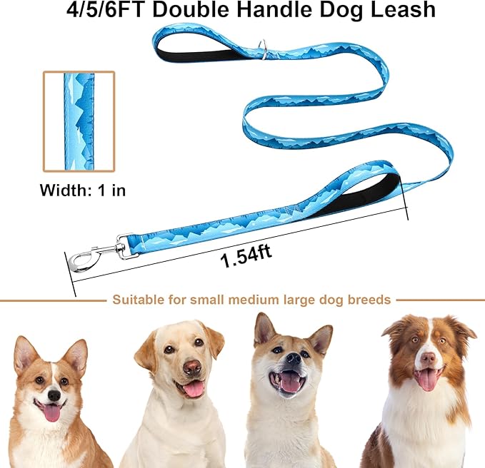 4ft Dog Leash with Two Padded Handles, Heavy Duty Strong Nylon Pet Leash with Soft Neoprene Handle for Small Medium Large Dogs, Blue Sunset