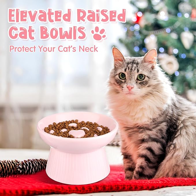 Tioncy 2 Pcs Raised Cat Slow Feeder Bowl Ceramic Elevated Cat Dog Food Bowl No Spill High Edge for Dry Wet Food and Water Easy to Clean, Dishwasher Safe (Black,Pink)
