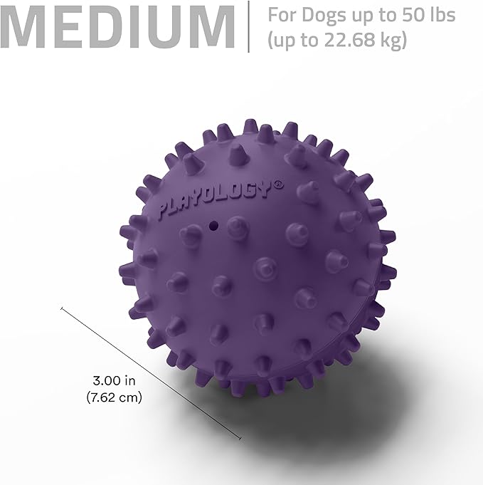 Playology Dog Toys | Spiky Chew Ball for Medium Dogs | Bacon Scented Toy for Tough Chewers - Easy to Clean and Made from Non Toxic Materials