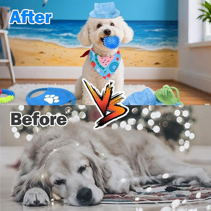 Mity rain Summer Dog Toys Set - Interactive Dog Toys Pack for Small/Medium/Large Dogs, Dog Toys Gifts of Squeaky Toys Rope Toy Plush Toy Dog Costume for Teething Bulk