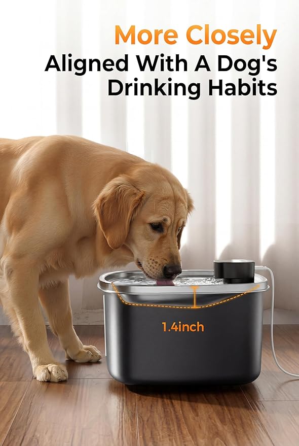 Water Fountain for Dogs Indoor Homes Stainless Steel 10L/2.64GAL Plug in Plastic Reservoir Stainless Steel Water Bowl Filtered Multi-Pet Quiet Large Black Plug-in &1Filter