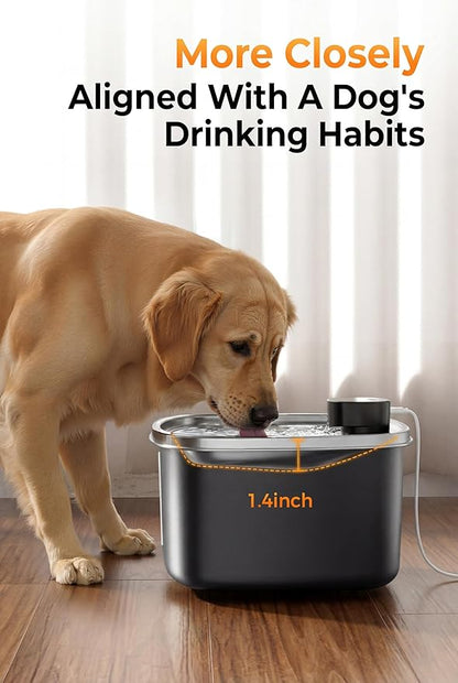 Water Fountain for Dogs Indoor Homes Stainless Steel 10L/2.64GAL Plug in Plastic Reservoir Stainless Steel Water Bowl Filtered Multi-Pet Quiet Large Black Plug-in &1Filter
