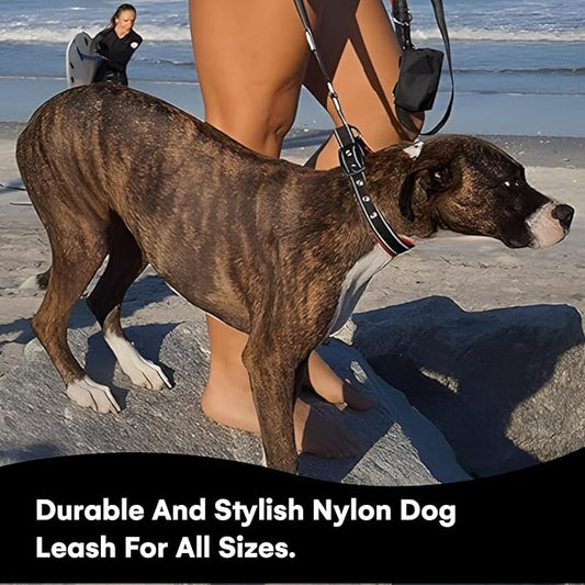 Black Rhino 6 ft Long Heavy Duty Dog Leash with Traffic Handle for Medium and Large Dogs - with Padded Neoprene Dual Handles, Bag and Clip - Reflective, Durable, and Weather Resistant - Red