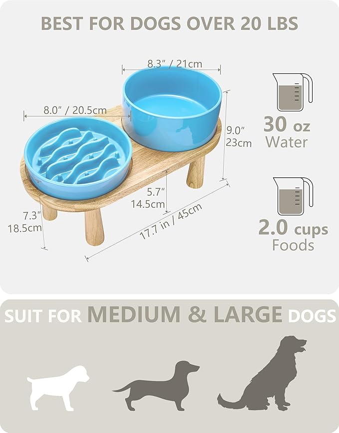Ceramic Slow Feeder and Water Bowl Set for Medium and Large Dogs, 2.0 Cups Dog Slow Feeder(30oz) and 70oz Water Bowl Set, 8in, Baby Blue