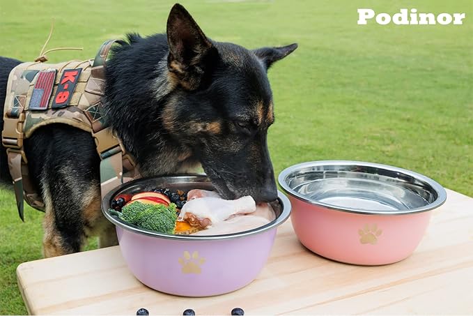 Large Dog Water Bowl 2 Pack, 1.3 Gallons 170oz Stainless Steel Extra Large Dog Food Bowl for Big Giant Dogs, Pink