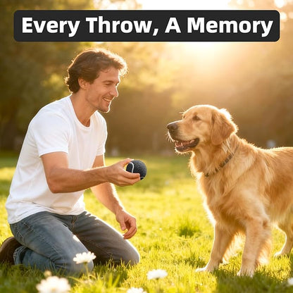2.5" Dog Tennis Balls 24-Pack – Silent Bounce, Tough Rubber Core, Durable Fetch & Training Toys for Indoor/Outdoor Play, for Small Medium Large Dogs (Classic Mix Color, 24-Pack)