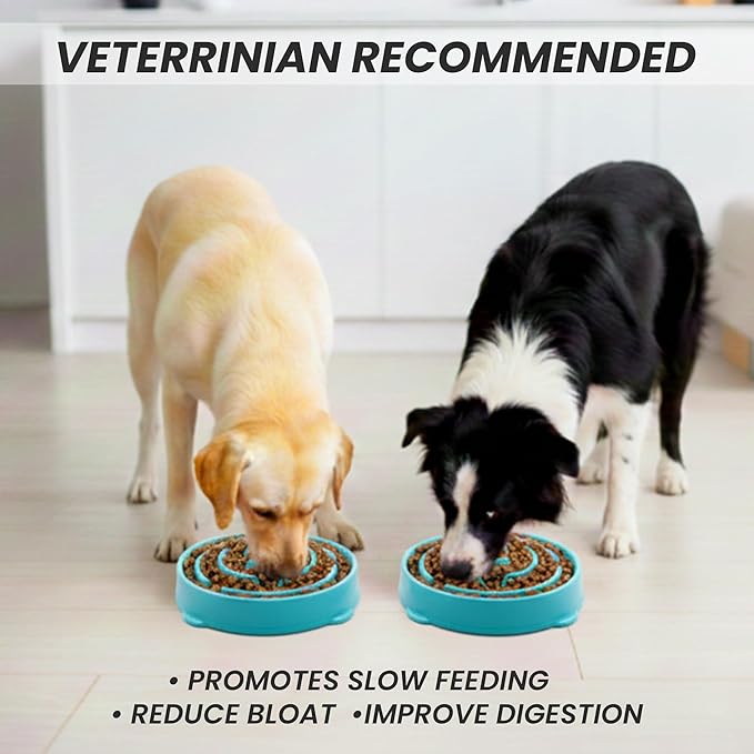 Slow Feeder Dog Bowl for Small, Medium & Large Dogs – Anti-Gulping Puzzle Maze Bowl, Non-Slip Slow Eating Dog Dish, Prevents Bloat & Improves Digestion, Interactive Pet Feeder (Blue, Small)