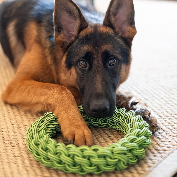 Jolly Pets TIK-Tak-Tugzz Large/XL O Rope Dog Toy