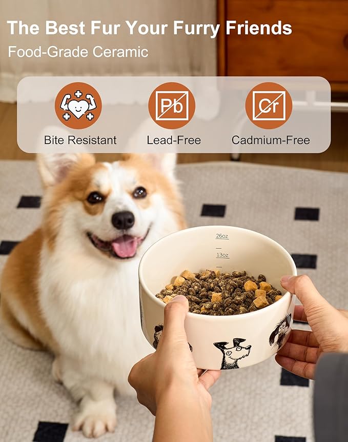 Ceramic Dog Bowl with Non-Slip Ring - 6.5 Cups, Heavy-Duty Stoneware Bowl, Pet Feeding, Microwave and Dishwasher Safe-Derpy-L (Single Bowl)