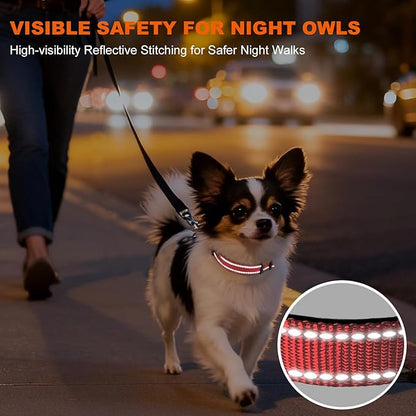 Taglory Reflective Dog Collar with Safety Locking Buckle, Soft Neoprene Padded Dog Collar for Puppy Dogs, Metal D-Ring, Adjustable Nylon Neck Strap for Daily Walking, Training & Running, Baby Pink, XS