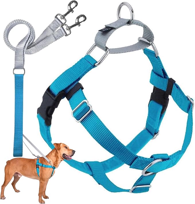 2 Hounds Design Freedom No Pull Dog Harness, Adjustable Harness and Leash Set, Easy Walking & Comfortable Control, Fits Small, Medium & Large Dogs, Solid Colors, Made in USA, 5/8" SM, Turquoise