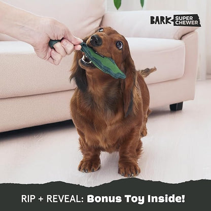 Barkbox Green Chew Leaf Dog Toy for Small Dogs – 2-in-1 Design with Mixed Textures and Surprises, Perfect for Tough Chewing and Playful Pups