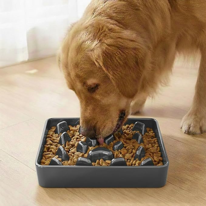 Ceramic Slow Feeder Dog Bowl, 1.8 Cup Fun Pet Food Dish for Small & Medium Breeds to Slow Down Eating, Anti-Gulping, Stop Bloat, Preventing Choking (Grey)