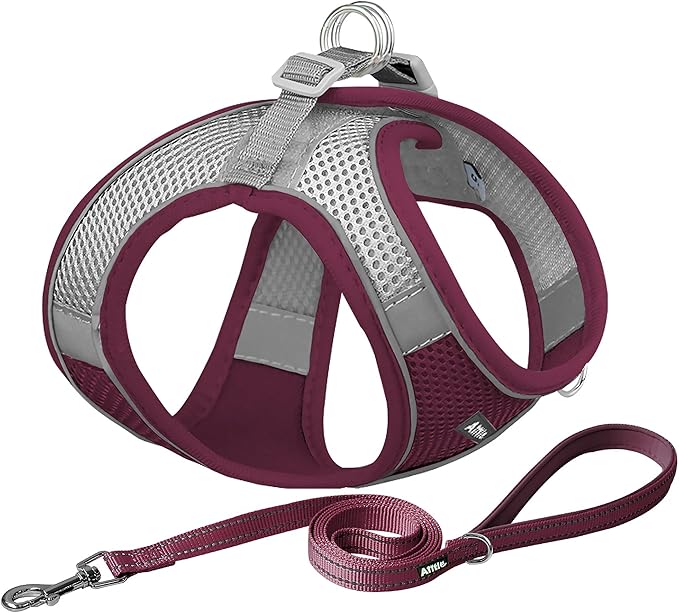 AIITLE Step in Dog Harness and Leash Set - Christmas No Pull Escape Proof Vest Harnesses with Soft Mesh and Reflective Bands, Adjustable Pet Outdoor Harnesses for Small and Medium Dogs Burgundy M