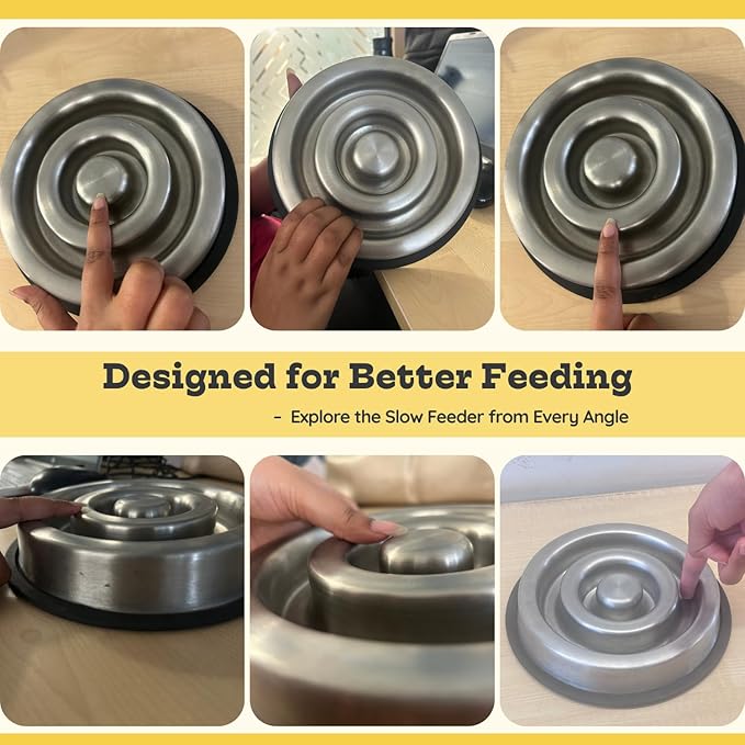 1.2 Cup (9.5 oz) Slow Feeder Dog Bowls, Shallow Spiral Style Stainless Steel Small Dog, Cat Dry, Wet Food Dishes Fast Eater Nonslip Heavy Feeding Puzzle Bowl, Slow Down Eating