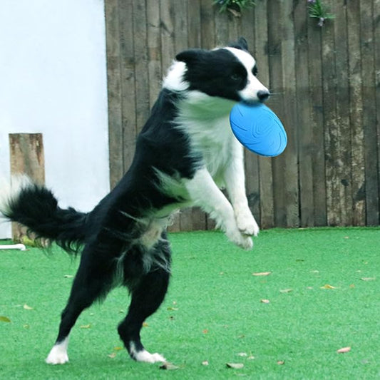 Nonslip Dog Flying Discs Chew Outdoor Toy Rubber Soft Training Exercise for Active Pet Outdoor Fetching Toy for Dog