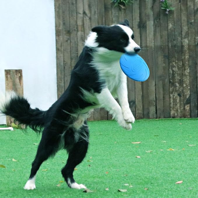 Nonslip Dog Flying Discs Chew Outdoor Toy Rubber Soft Training Exercise for Active Pet Outdoor Fetching Toy for Dog