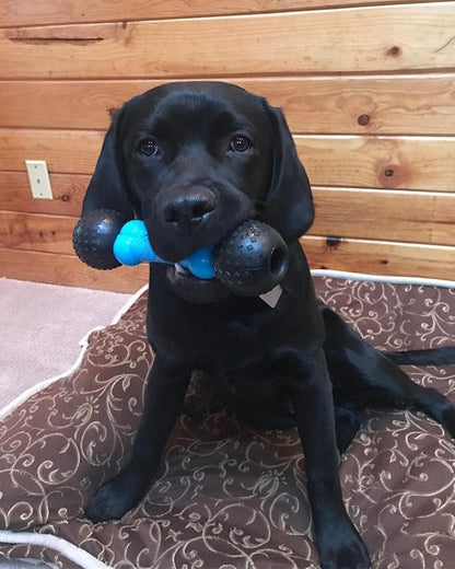 Spunky pup Fetch & Chew Bone Large
