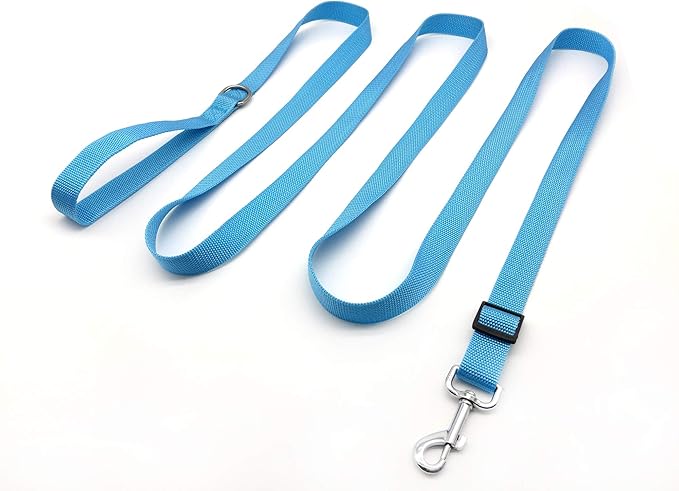 TAIAN Adjustable Nylon Dog Leash, 10 Foot Long Dog Leashes for Medium Large Dogs