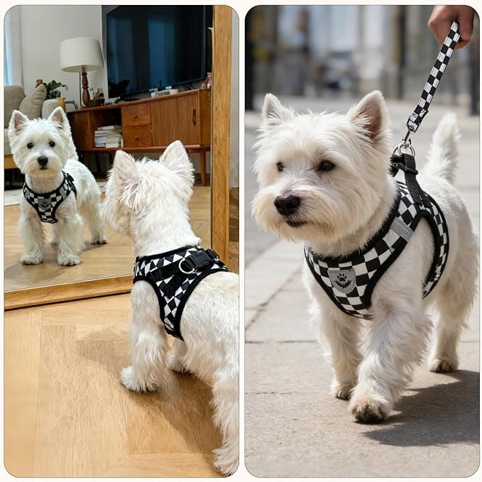 PUPTECK Adjustable Dog Harness Collar and Leash Set Step in No Pull Pet Harness for Small Medium Dogs Puppy and Cats Outdoor Walking Running, Checkered Black&White M