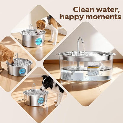 Dog Water Fountain Filters: 12 Dog Fountain Filters - Pet Water Fountain Filters Replacement - Including 6 Filters + 6 Sponges - Suitable for GROOKPET Dog Water Fountain for Large Dogs