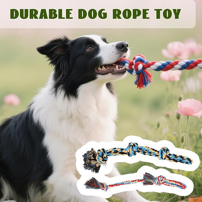 Tug of War Dog Toy: Height Adjustable Spring Pole with 2 Ropes,Tether Tug Outdoor Interactive Dog Toy for Large Medium Dogs,Heavy Duty Dog Solo Play Exercise Toy