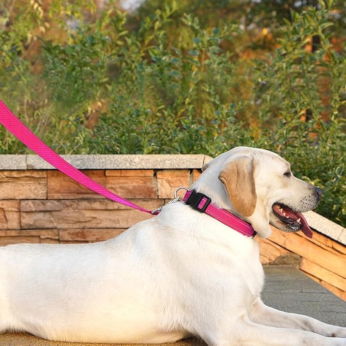 Dog Leash 6 FT Padded Handle Nylon Reflective Dogs Leashes for Medium Dogs Hot Pink