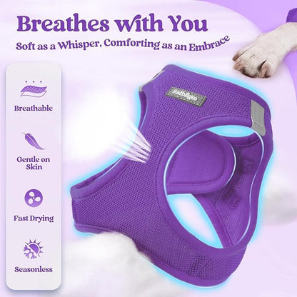 rabbitgoo Dog Harness Small Medium Sized and Leash Set, Step in Soft Light Puppy Vest, Breathable Mesh Pet Harness, Reflective for Safe Outdoor Walking, Purple L