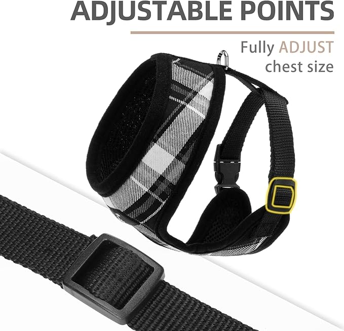 PUPTECK Soft Mesh Dog Harness and Leash Set Pet Puppy Cat Comfort Padded Vest No Pull Harnesses, Black, XS
