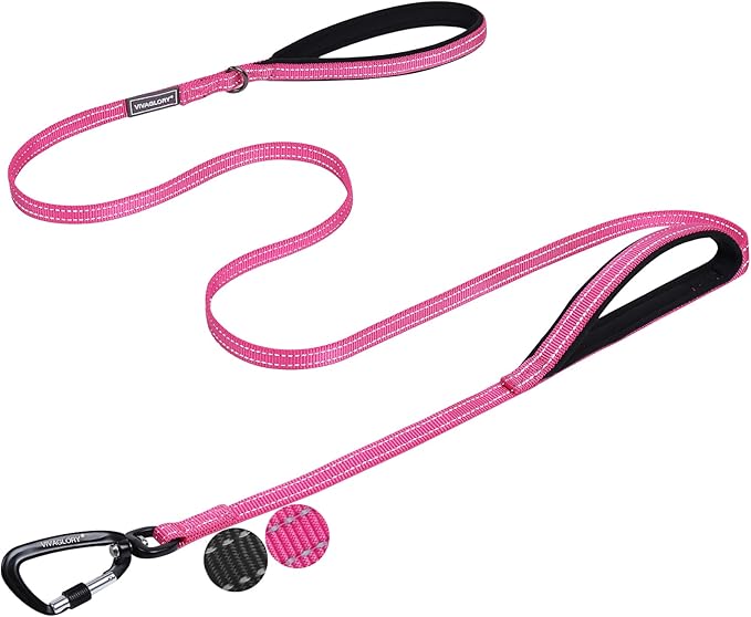VIVAGLORY Dog Leash Twingrip Double Handle Dog Leash with Traffic Handle Control & 2 Loop for Walking & Training, Reflective Heavy Duty for Puppy Pet Collar, 6ft x 1/2in, Pink