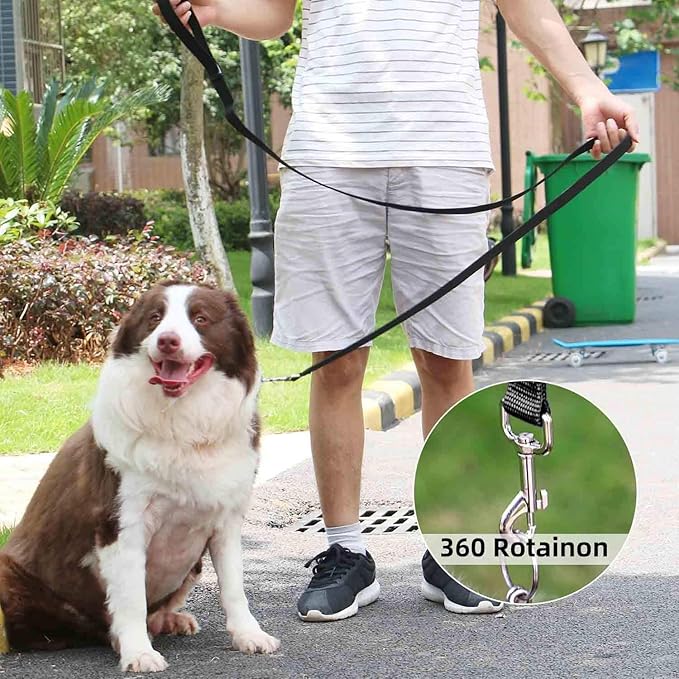 AMAGOOD 6 FT Puppy/Dog Leash, Strong and Durable Traditional Style Leash with Easy to Use Collar Hook, Great for Small, Medium and Large Dogs (1" x 6 ft, Black and Purple (2-Pack))