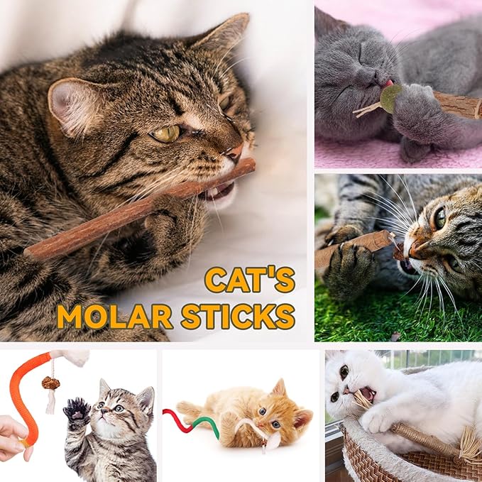 Kyouki Cat Toys Cat Chew Toys, Silvervine Sticks Catnip Rope Toys for Cats Teeth Cleaning, Kitten Dental Care, Kitty for Indoor Cats Increase Appetite,Enhances Oral & Dental Health (21 Pack)