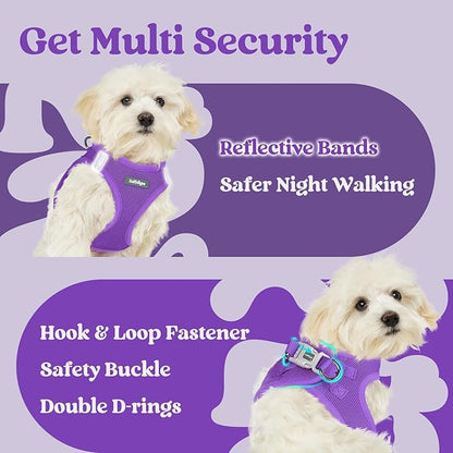 rabbitgoo Small Dog Harness, Step-in Soft Mesh Puppy Vest with Safety Buckle, Breathable Reflective Pet Harness for Small Sized Dogs, Purple XS