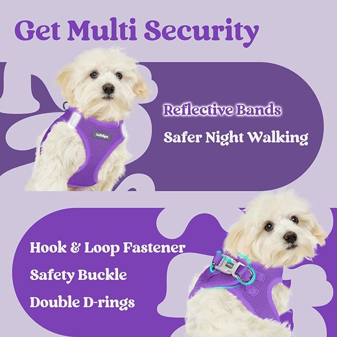 rabbitgoo Small Dog Harness, Step-in Soft Mesh Puppy Vest with Safety Buckle, Breathable Reflective Pet Harness for Small Sized Dogs, Purple S