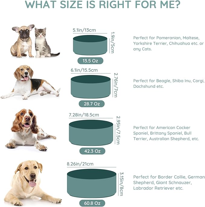 SPUNKYJUNKY 60OZ Ceramic Dog and Cat Bowl, Modern Cute Weighted Food Water Bowl for Replacement Light Green (2 Pack)