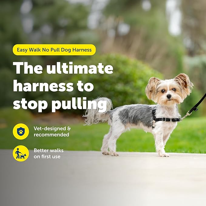 PetSafe Easy Walk Harness for Dogs - Pull-Free Walks - Patented Martingale Loop Design - Front Chest Leash Attachment - Comfort Straps - Breathable Harness Design - Petite/Small, Black/Silver